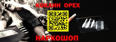 крисы Кулебаки