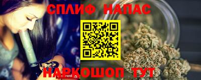крисы Кулебаки