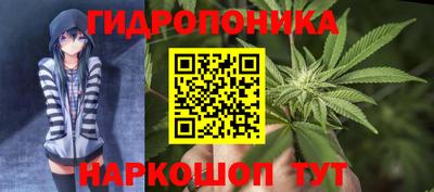 крисы Кулебаки