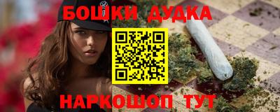 крисы Кулебаки