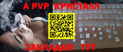 крисы Кулебаки