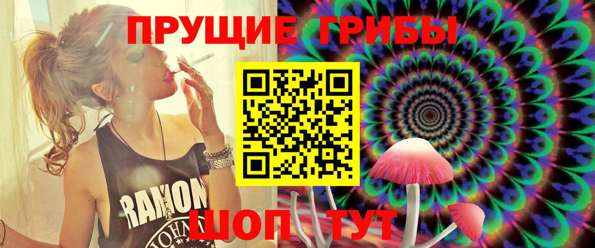 Галлюциногенные грибы Cubensis Дербент