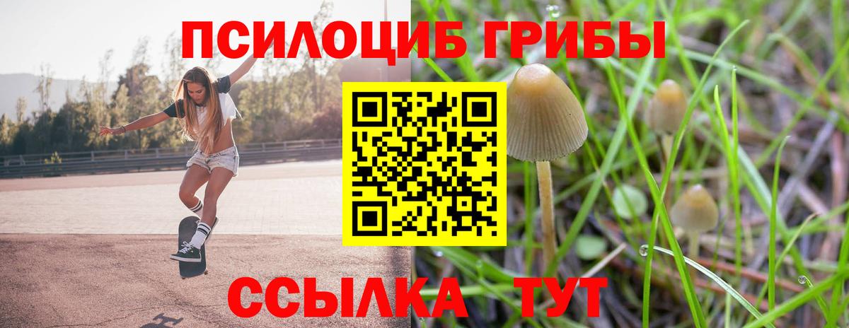 Псилоцибиновые грибы MAGIC MUSHROOMS  Галлюциногенные грибы GOLDEN TEACHER  Дербент  Вход с VPN 